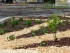 Urban garden Pforzheim