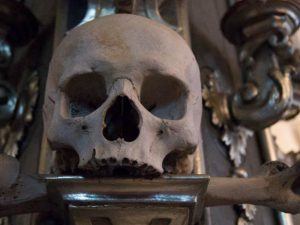 Skull in Sedlec ossuary, Kutná Hora, Czech Republic