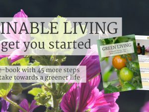 Sustainable living - free e-book download