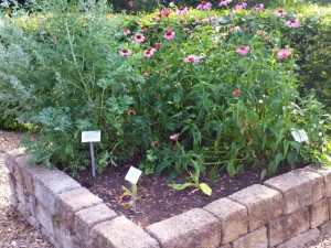 Herb garden raised bed